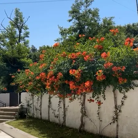 Appartement Lexhulo Room's