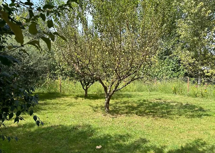 Апартаменты Lexhulo Room's Domje