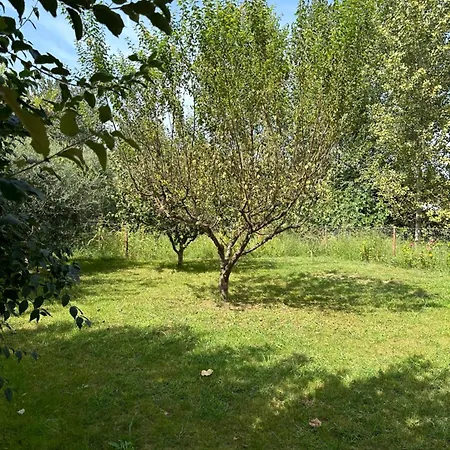 Apartament Lexhulo Room's Domje